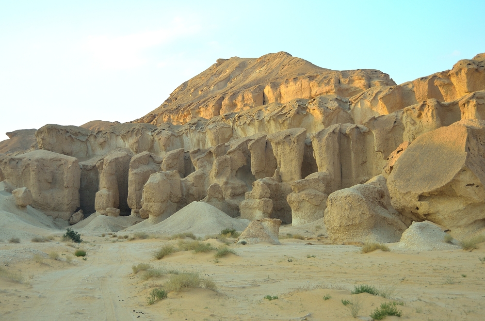 Photos/desert2012/DSC_2015.JPG